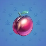Precious Peach #72