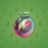 Precious Peach #724