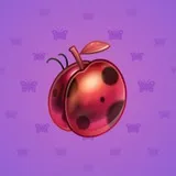 Precious Peach #749 Precious Peach #749