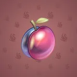 Precious Peach #778 Precious Peach #778