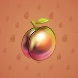 Precious Peach #782 Precious Peach #782