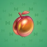 Precious Peach #833