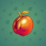 Precious Peach #841