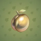 Precious Peach #856 Precious Peach #856
