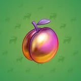 Precious Peach #858 Precious Peach #858