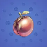 Precious Peach #867