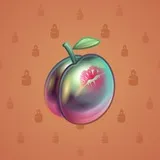 Precious Peach #869 Precious Peach #869