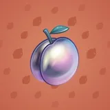 Precious Peach #885