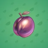 Precious Peach #891 Precious Peach #891
