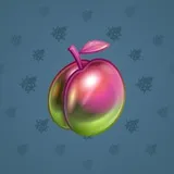 Precious Peach #925 Precious Peach #925