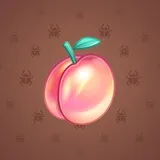 Precious Peach #938 Precious Peach #938