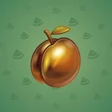 Precious Peach #972 Precious Peach #972