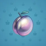 Precious Peach #986