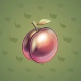 Precious Peach #987 Precious Peach #987
