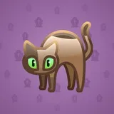 Scared Cat #10121 Scared Cat #10121