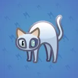 Scared Cat #10212 Scared Cat #10212