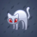 Scared Cat #10379 Scared Cat #10379