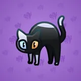 Scared Cat #10403 Scared Cat #10403