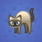 Scared Cat #1048 Scared Cat #1048