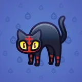 Scared Cat #10492 Scared Cat #10492
