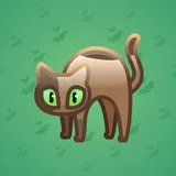 Scared Cat #10529 Scared Cat #10529