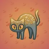 Scared Cat #10538 Scared Cat #10538