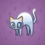 Scared Cat #10560 Scared Cat #10560