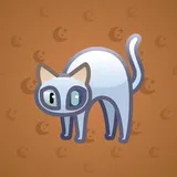 Scared Cat #10584 Scared Cat #10584