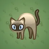 Scared Cat #10781 Scared Cat #10781