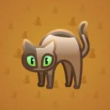 Scared Cat #10822 Scared Cat #10822