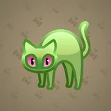 Scared Cat #10874 Scared Cat #10874