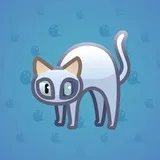 Scared Cat #10901 Scared Cat #10901
