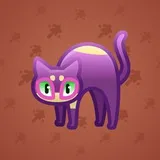 Scared Cat #10916 Scared Cat #10916
