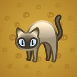 Scared Cat #10954 Scared Cat #10954