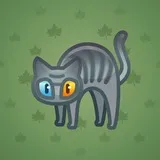 Scared Cat #11031 Scared Cat #11031