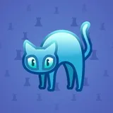 Scared Cat #11115 Scared Cat #11115