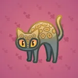 Scared Cat #11165