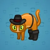 Scared Cat #11584 Scared Cat #11584