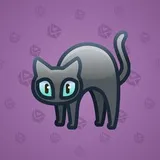 Scared Cat #11616 Scared Cat #11616