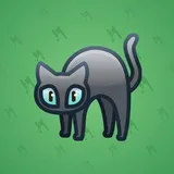 Scared Cat #11626 Scared Cat #11626