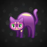 Scared Cat #11673 Scared Cat #11673