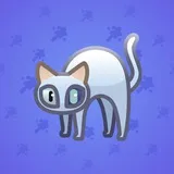 Scared Cat #11706 Scared Cat #11706