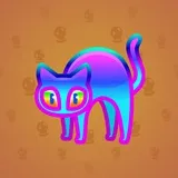Scared Cat #11896 Scared Cat #11896