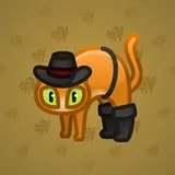 Scared Cat #11914 Scared Cat #11914