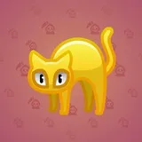 Scared Cat #11991 Scared Cat #11991