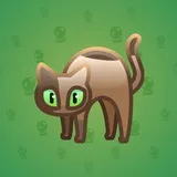 Scared Cat #12100 Scared Cat #12100