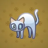 Scared Cat #12166 Scared Cat #12166