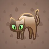 Scared Cat #12198 Scared Cat #12198
