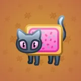 Scared Cat #12211 Scared Cat #12211