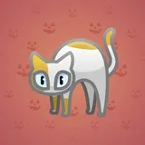 Scared Cat #12289 Scared Cat #12289